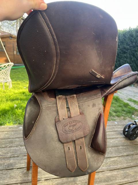 Bareback  Évolution jumping 14" - 2015