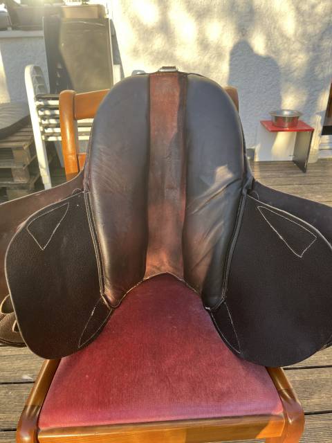 Bareback  Évolution jumping 14" - 2015