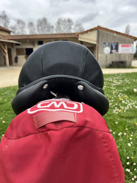 Sella da dressage CWD SE 08 17" - 2021