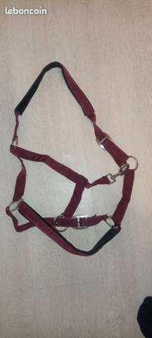  - Altra Marca - Occasione