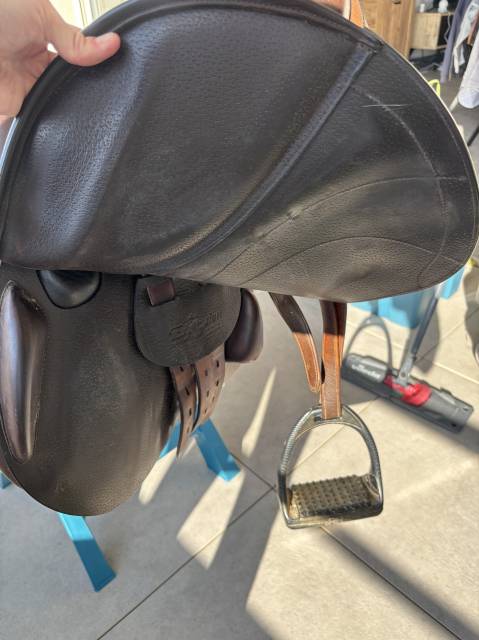 Sella mista Equipe  16.5" - 2019