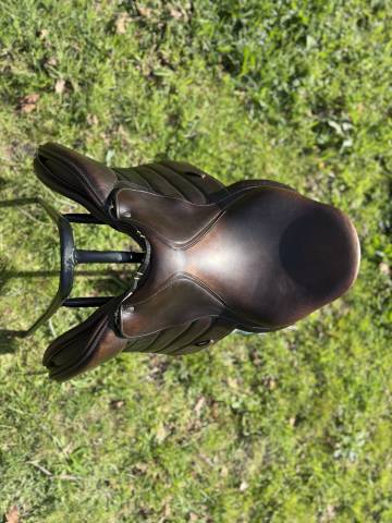 Sella mista Forestier  17" - 2023