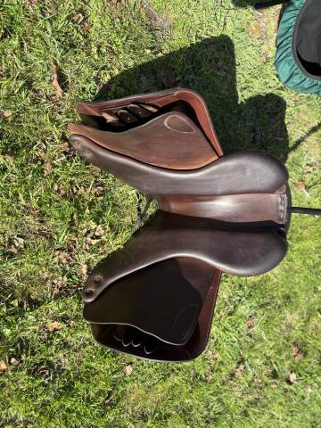 Sella mista Forestier  17" - 2023