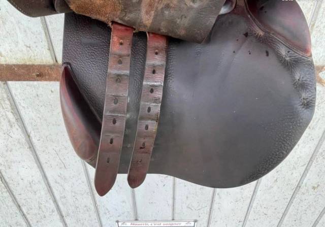 Sella mista Delgrange  17" - 2008