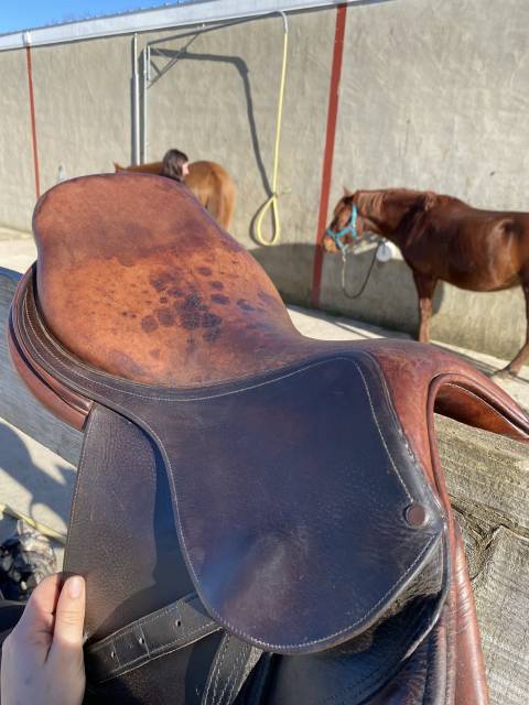 Sella da salto ostacoli Delgrange  17" - 2005