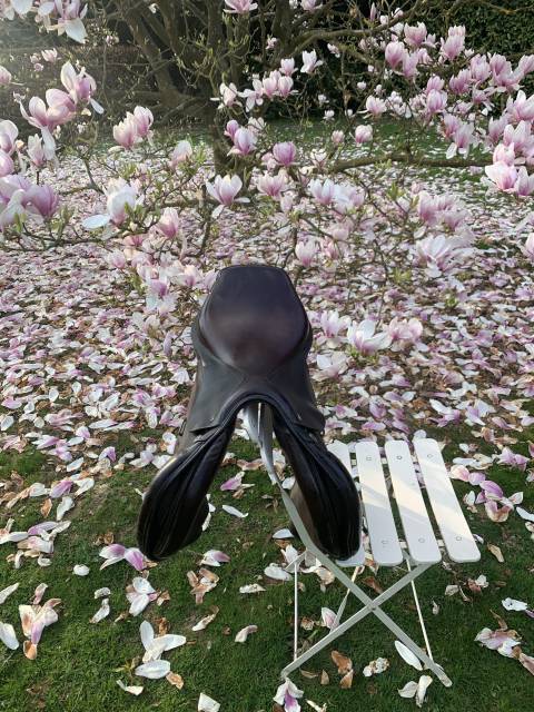 Sella da salto ostacoli Ikonic  17.5" - 2017