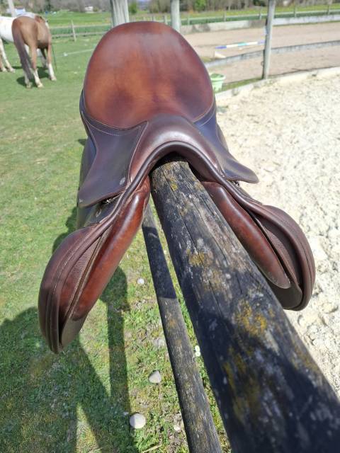 Sella mista Altair  17" - 2018