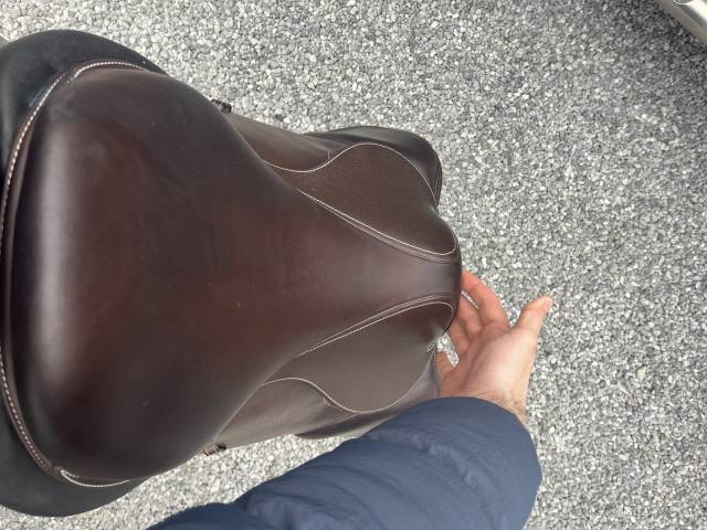 Sella da salto ostacoli Forestier  18" - 2024