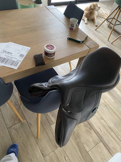 Sella da salto ostacoli Ikonic  17" - 2019