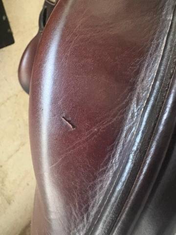 Sella da cross Rebelle monoquartier 17.5" - 2019