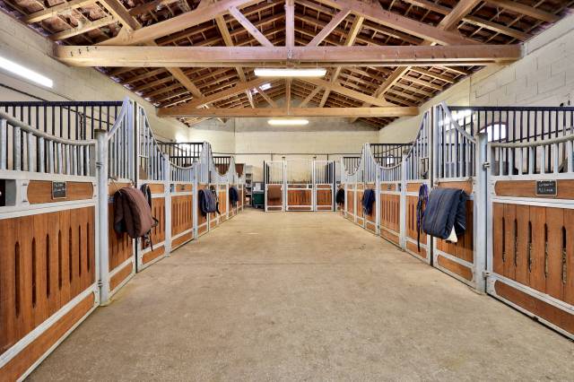 Proprietà equestre In vendita Ain