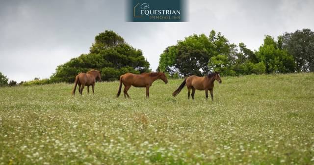 Proprietà equestre Noleggio Var