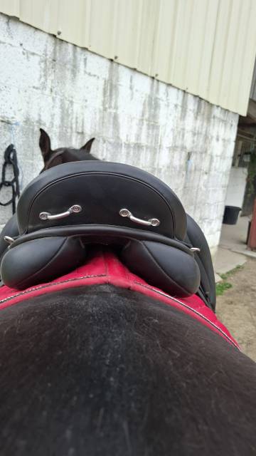 Sella da dressage TdeT  17.5" - 2024