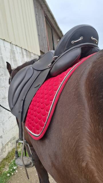 Sella da dressage TdeT  17.5" - 2024