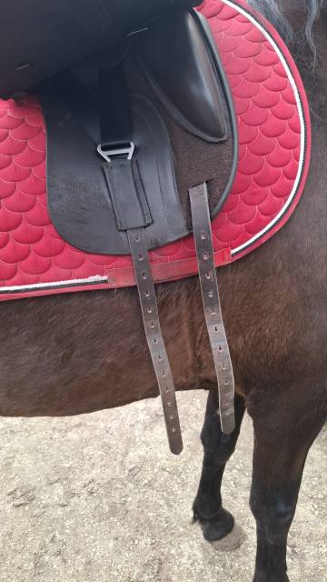 Sella da dressage TdeT  17.5" - 2024