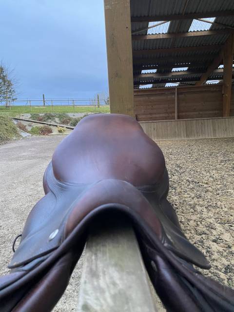 Sella mista CWD  17.5" - 2017