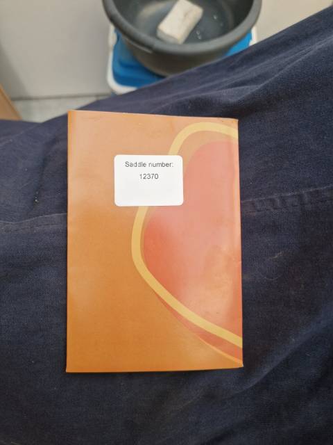 Sella da dressage Eric Thomas  17" - 2015