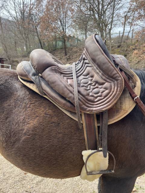 Sella maremmana bardella