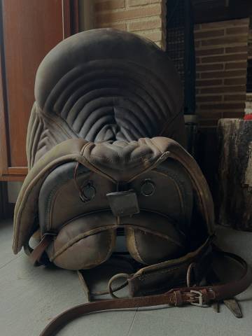 Sella maremmana bardella