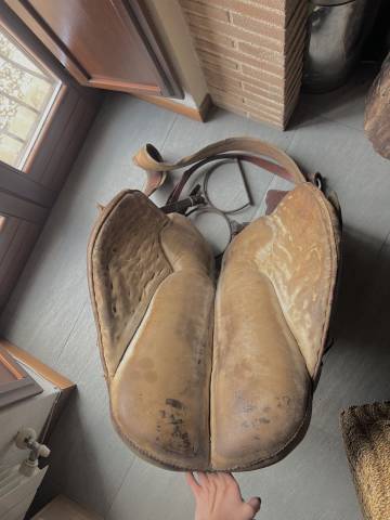 Sella maremmana bardella