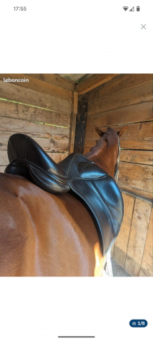 Sella da dressage Childeric  17.5" - 2014
