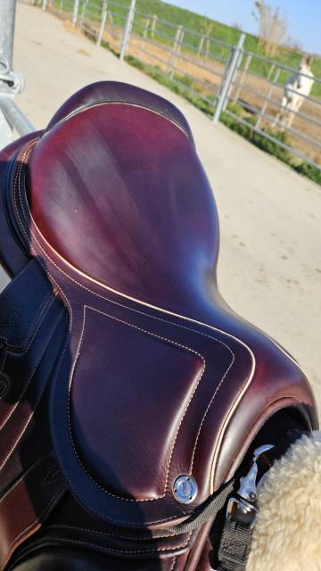 Sella da salto ostacoli CWD  17" - 2022