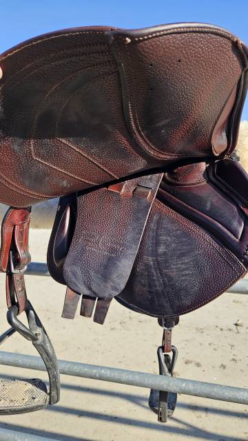 Sella da salto ostacoli CWD  17" - 2022