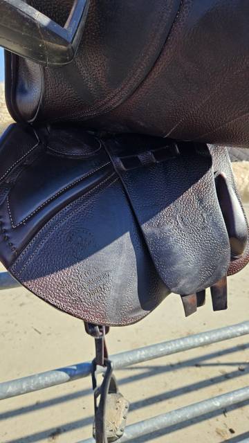 Sella da salto ostacoli CWD  17" - 2022