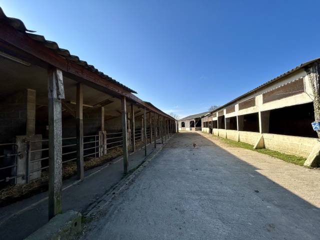 Centro ippico In vendita Morbihan