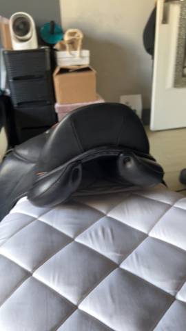 Sella da dressage Childeric  17.5" - 2019
