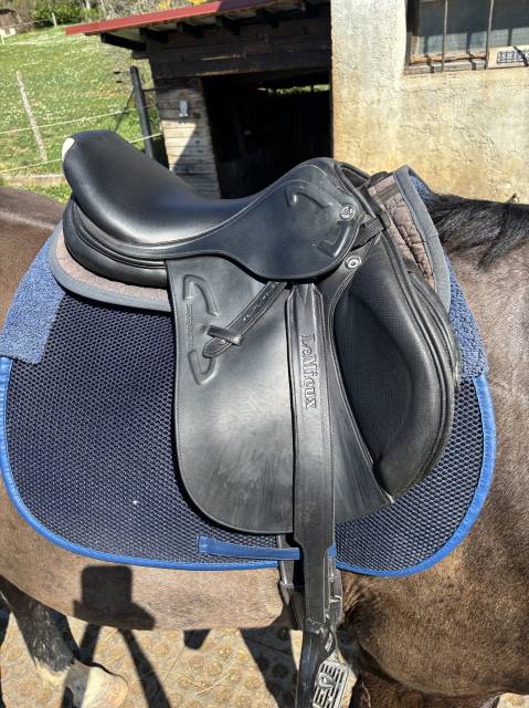 Sella mista Prestige Italia  17" - 2020