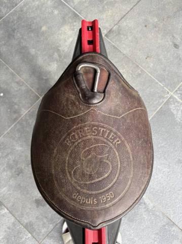 Sella da corse Forestier  17" - 2022