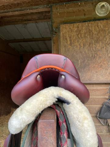 Sella da salto ostacoli Antar&egrave;s  17.5" - 2023