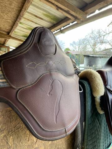 Sella da salto ostacoli Antar&egrave;s  17.5" - 2023