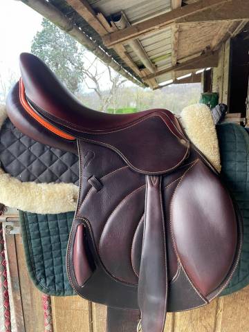 Sella da salto ostacoli Antar&egrave;s  17.5" - 2023