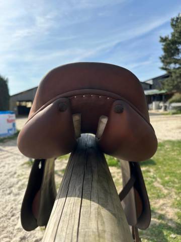 Sella da salto ostacoli Cardinal  17.5" - 2019