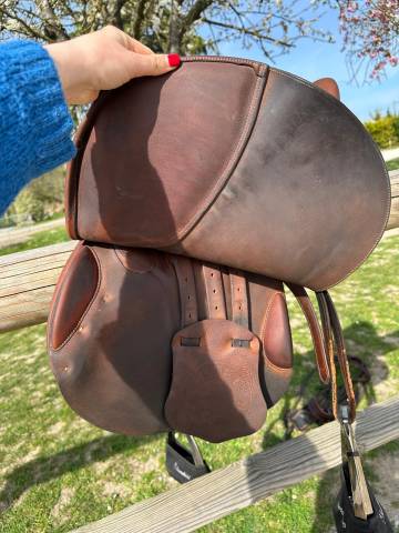 Sella da salto ostacoli Cardinal  17.5" - 2019