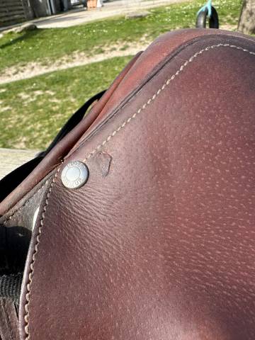 Sella da salto ostacoli Cardinal  17.5" - 2019