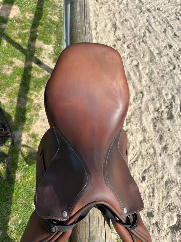 Sella da salto ostacoli Cardinal  17.5" - 2019