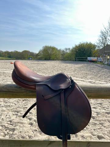 Sella da salto ostacoli Cardinal  17.5" - 2019