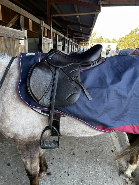 Sella mista Ikonic  17" - 2021