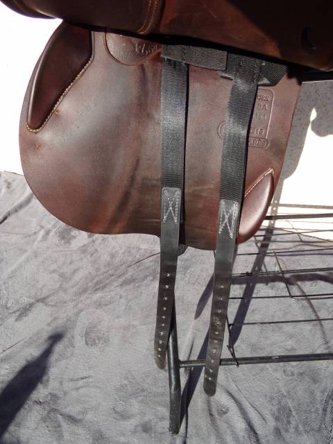 Sella da salto ostacoli Antarès  17.5" - 2021