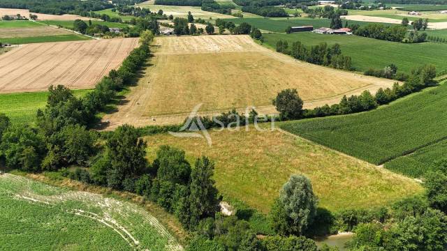 Azienda ovina In vendita Tarn-et-Garonne