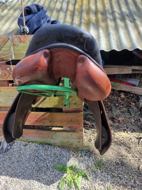 Sella da salto ostacoli Childeric  17.5" - 2015