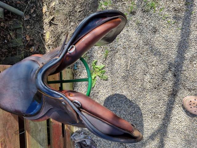 Sella da salto ostacoli Childeric  17.5" - 2015