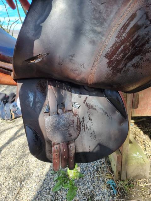 Sella da salto ostacoli Childeric  17.5" - 2015