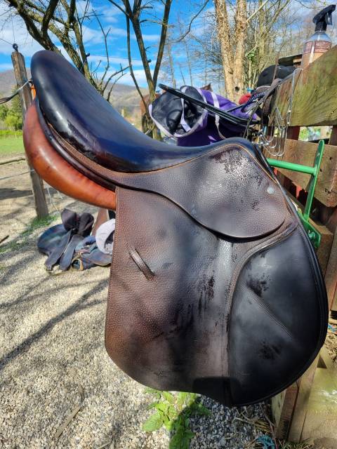 Sella da salto ostacoli Childeric  17.5" - 2015