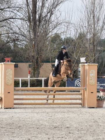 Vendo pony italiano 