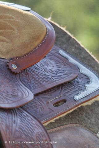 Sella western  Royal showman 16" - 2022