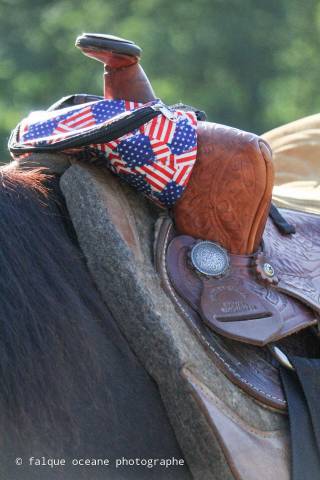 Sella western  Royal showman 16" - 2022